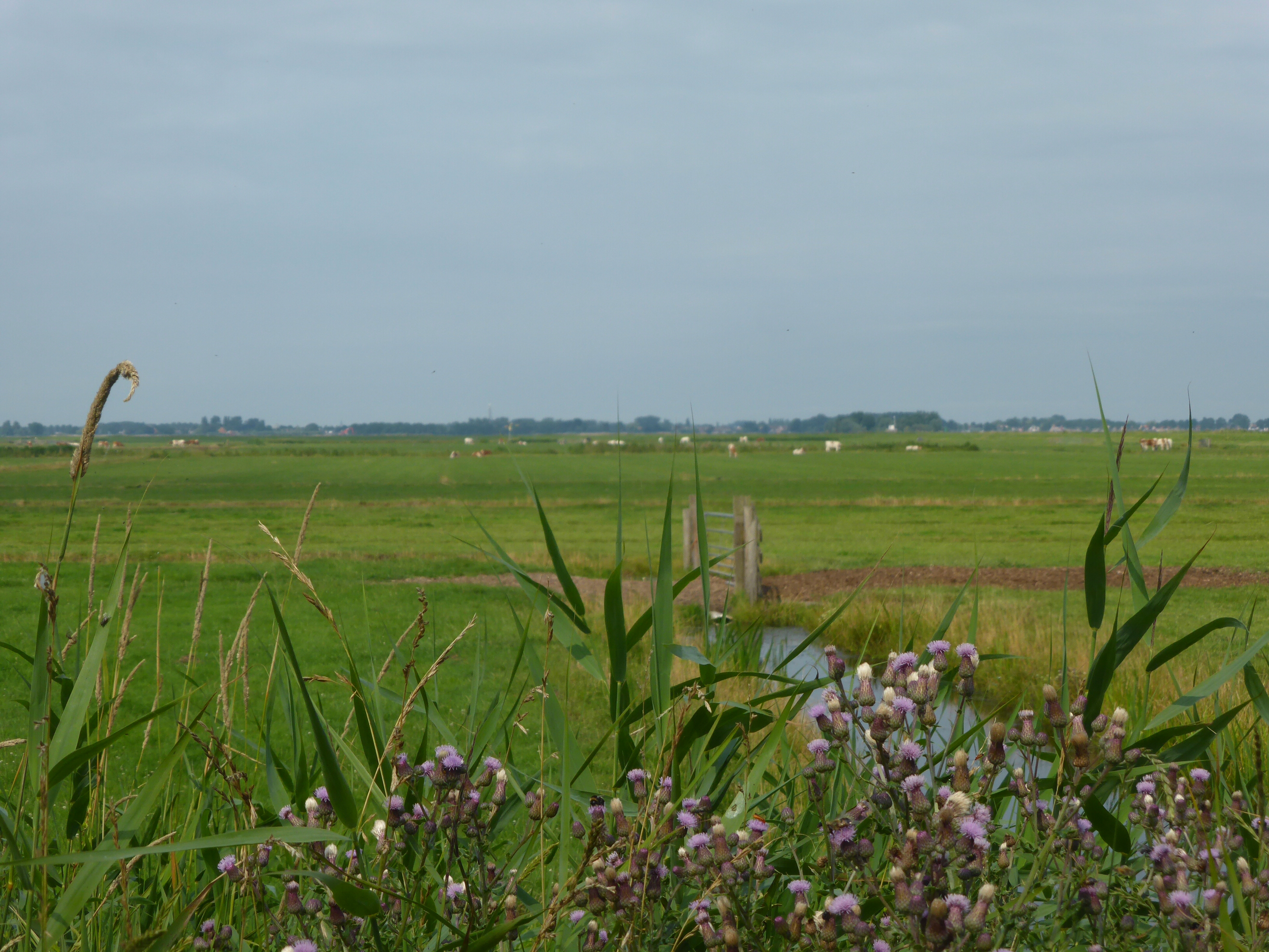 De Woude, puur Holland
