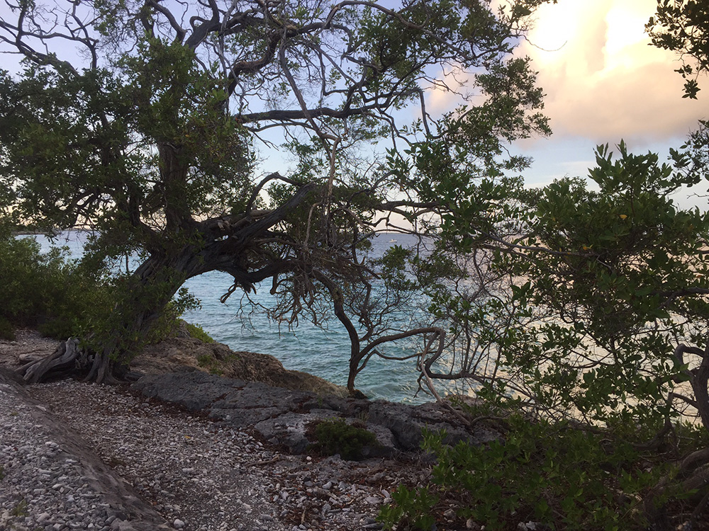 Hardlopen Bonaire 9
