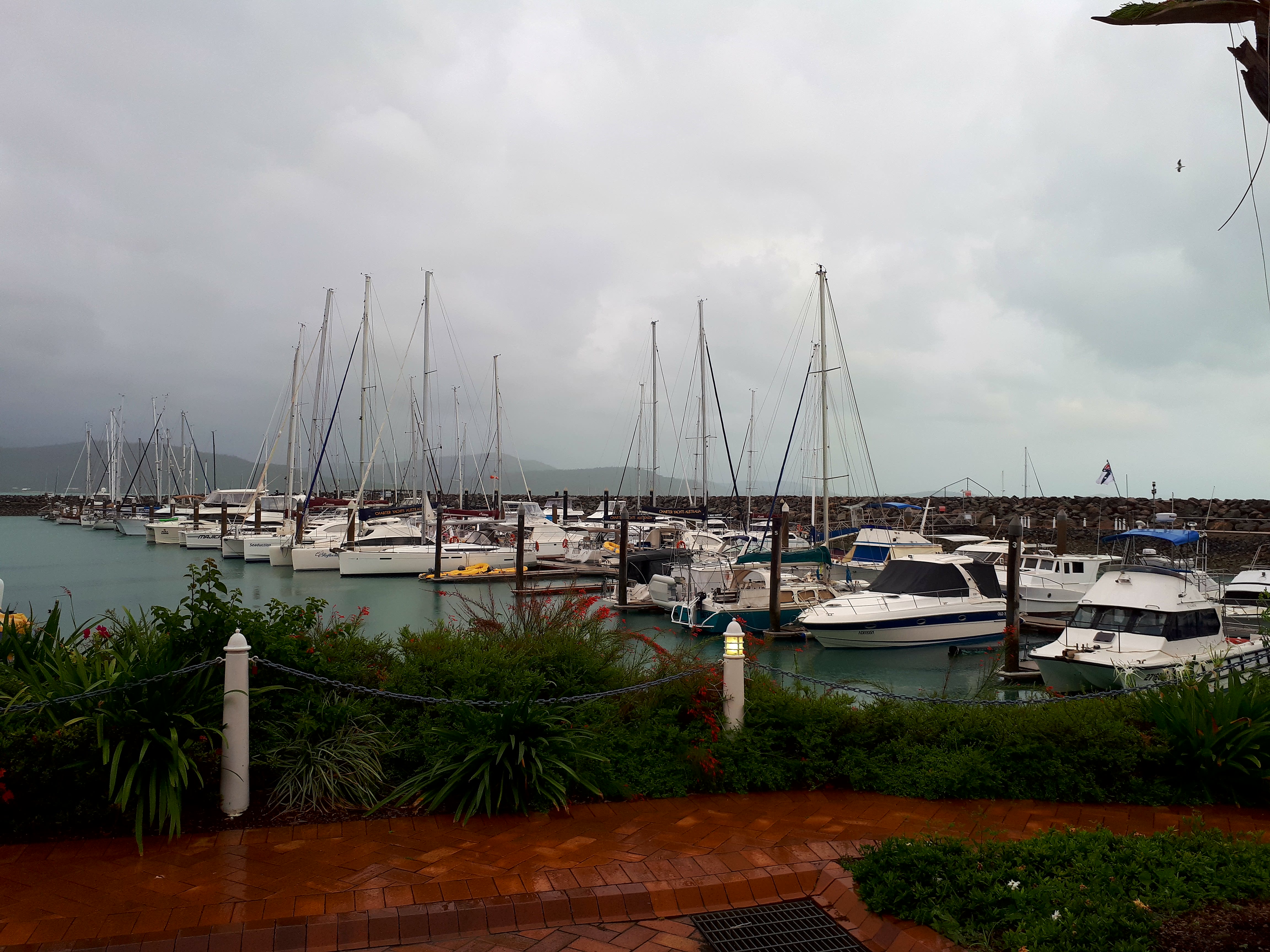 Hardlopen in Airlie Beach, de haven