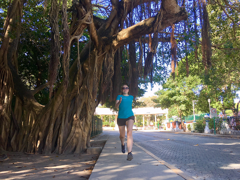 Hardlopen in Mexico Playa del Carmen lianenbomen