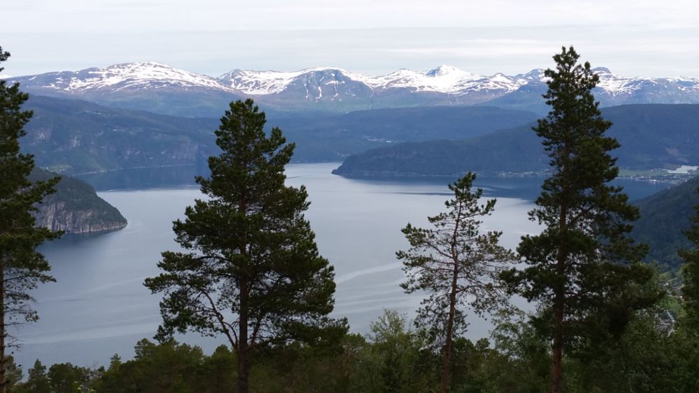 5 redenen om reizen en rennen te combineren - Fjord Noorwegen