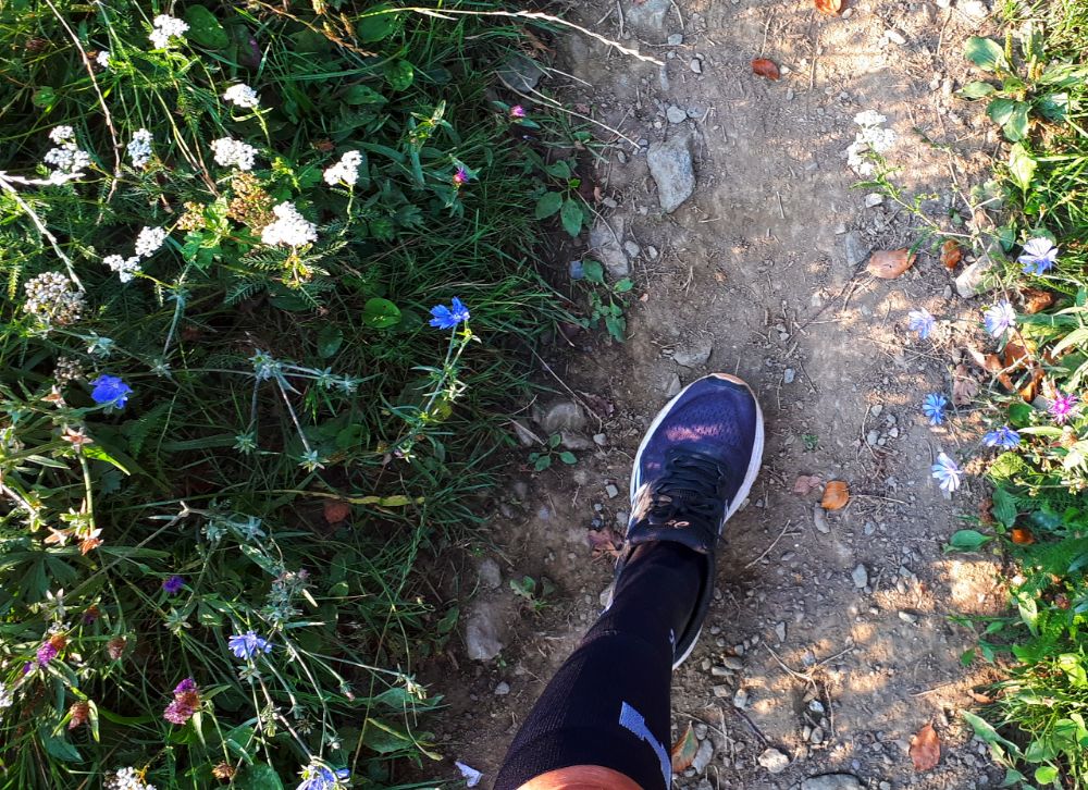 Hardlopen in Pohorje - fleurige bloemetjes
