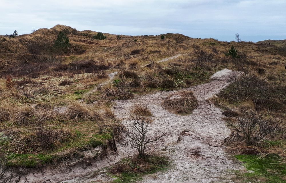 Hardlopen in Schoorl - ik zie de zee