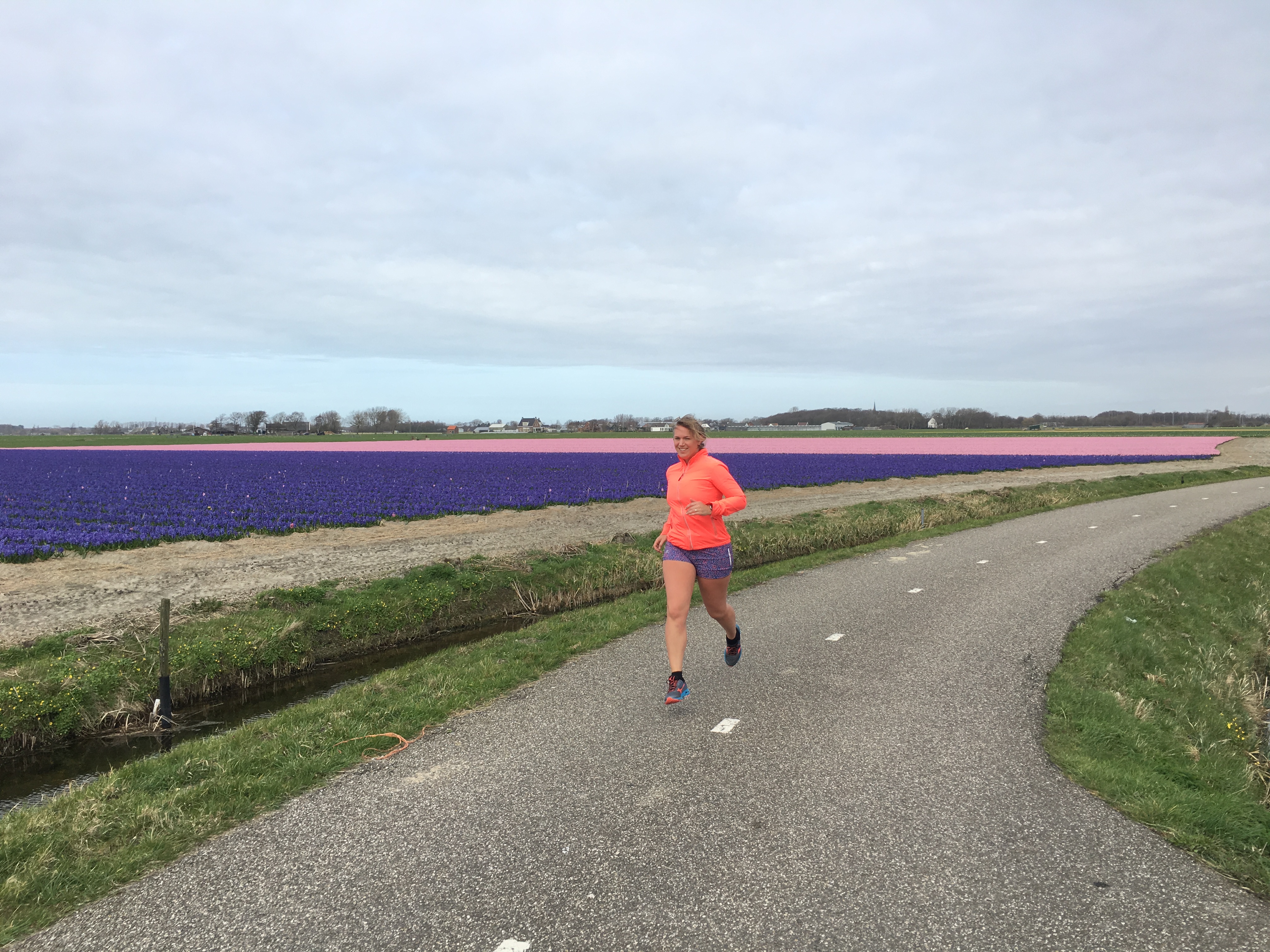 Boerhaave