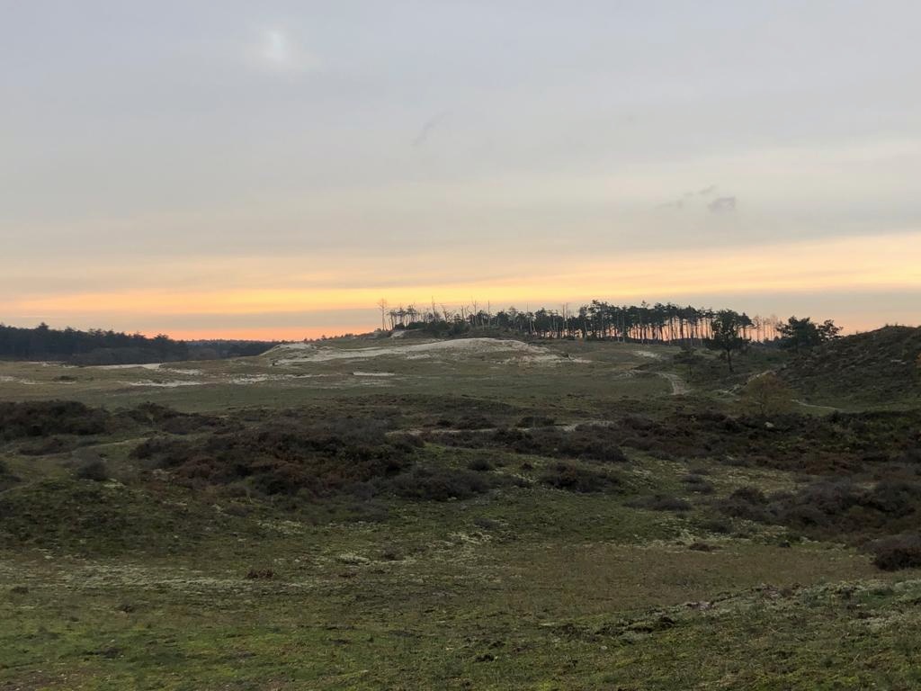Voorbereiding Groet uit Schoorl Run - heide