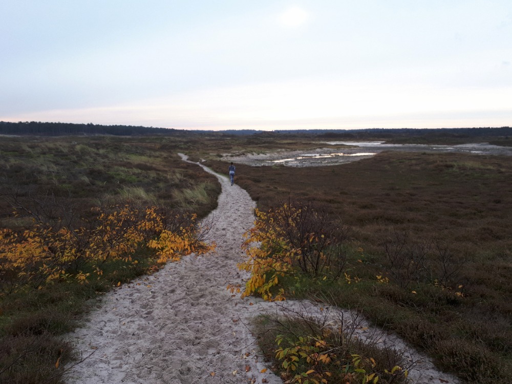 Voorbereiding Groet uit Schoorl Run - rul zand