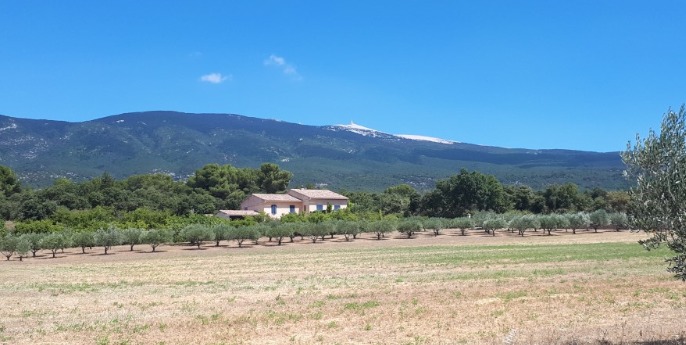 Hardlopen in Bedoin - uitzicht Ventoux